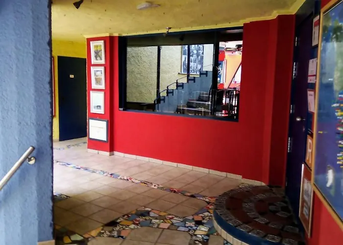 Bougainvillea Bamira